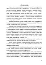 Diplomdarbs 'Motivējošie faktori vecmātes darbā', 22.