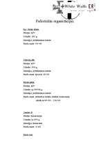 Referāts 'Neofašisms', 9.