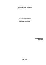 Referāts 'Rūdolfs Blaumanis', 1.