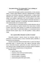 Referāts 'Vienkāršā grāmatvedība', 3.