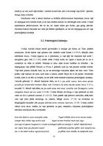 Diplomdarbs 'Laiktelpa Ovidija "Vēstulēs no Ponta"', 21.