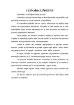 Referāts 'Uzmanības jēdziens', 2.