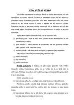 Referāts 'Uzmanības jēdziens', 3.