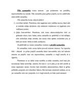 Referāts 'Uzmanības jēdziens', 5.