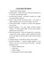 Referāts 'Uzmanības jēdziens', 6.