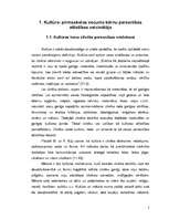 Diplomdarbs 'Kultūras nozīme pirmsskolas vecuma bērnu personības attīstībā', 5.