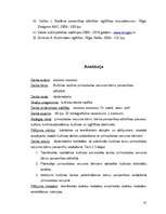 Diplomdarbs 'Kultūras nozīme pirmsskolas vecuma bērnu personības attīstībā', 41.