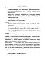 Konspekts 'Valūtas tirgus būtība', 4.