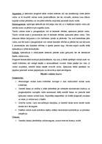 Konspekts 'Valūtas tirgus būtība', 5.