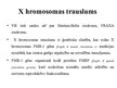 Prezentācija 'X hromosomas trauslums', 2.