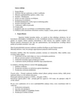 Biznesa plāns 'Biznesa plāns', 2.