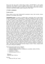 Biznesa plāns 'Biznesa plāns', 5.