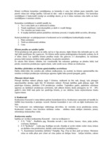 Biznesa plāns 'Biznesa plāns', 8.