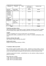 Biznesa plāns 'Biznesa plāns', 11.