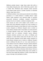 Referāts 'Banku loma vērtspapīru tirgū', 13.