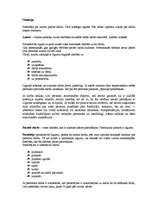 Konspekts 'Situācijas analīze. Autortiesības', 1.