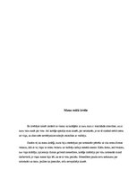 Referāts 'Morālās situācijas analīze', 7.