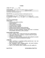 Paraugs 'Mūzikas grupas līgums', 1.