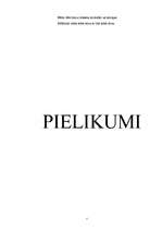 Referāts 'Nodarbība pirmsskolas vecuma bērniem', 4.