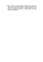 Konspekts 'Augsnes veidošanās procesi', 8.