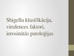 Prezentācija 'Shigellu klasifikācija, virulences faktori, ierosinātās patoloģijas', 1.