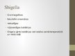 Prezentācija 'Shigellu klasifikācija, virulences faktori, ierosinātās patoloģijas', 2.