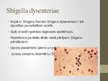 Prezentācija 'Shigellu klasifikācija, virulences faktori, ierosinātās patoloģijas', 4.