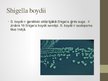 Prezentācija 'Shigellu klasifikācija, virulences faktori, ierosinātās patoloģijas', 6.