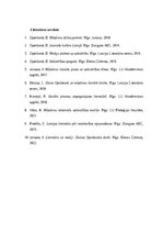 Eseja 'Daina Opolskaitė – sabiedrības atspulgs mūsdienu latviešu literatūrā', 3.