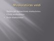 Prezentācija 'Muskulatūras attīstīšana', 5.