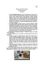 Konspekts 'Dabas materiālu izmantošana stundās', 1.