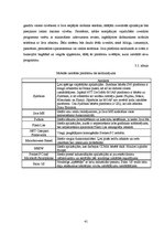 Diplomdarbs 'Lietojumu izstrādes tehnoloģijas mobilajām ierīcēm', 41.