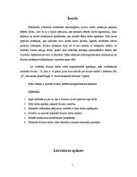 Referāts 'Friziera darba ergonomiskā novērtēšana', 2.