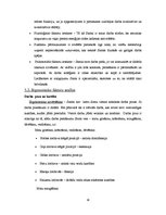 Referāts 'Friziera darba ergonomiskā novērtēšana', 14.