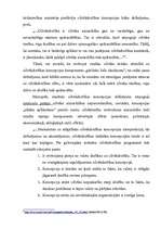 Eseja 'Cilvēkdrošība', 4.