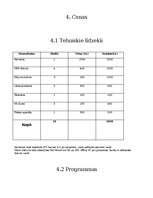 Referāts 'Uzņēmuma "Auto" datorizācijas plāns', 5.
