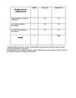 Referāts 'Uzņēmuma "Auto" datorizācijas plāns', 6.