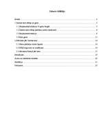 Referāts 'Ziemas karš', 2.