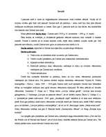 Referāts 'Ziemas karš', 3.