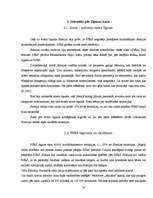 Referāts 'Ziemas karš', 14.