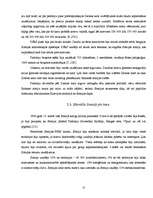 Referāts 'Ziemas karš', 15.