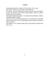 Referāts 'Ziemas karš', 21.