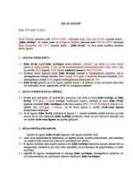 Paraugs 'Ķīlas līgums', 1.