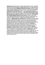 Paraugs 'Televīzijas reklāmu rēķināšanas uzdevumi', 2.