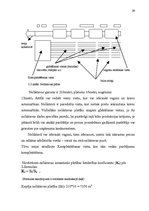 Referāts 'Noliktavas saimniecības organizēšana', 29.