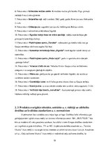 Biznesa plāns 'Biznesa plāns SIA "Bus Tour"', 12.