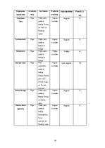 Biznesa plāns 'Biznesa plāns SIA "Bus Tour"', 18.