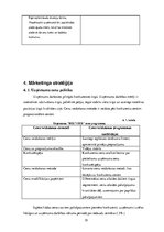 Biznesa plāns 'Biznesa plāns SIA "Bus Tour"', 21.