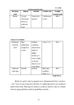 Biznesa plāns 'Biznesa plāns SIA "Bus Tour"', 23.