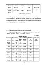 Biznesa plāns 'Biznesa plāns SIA "Bus Tour"', 28.